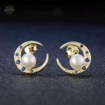 Accessoires steampunk, élégantes boucles d'oreilles argent