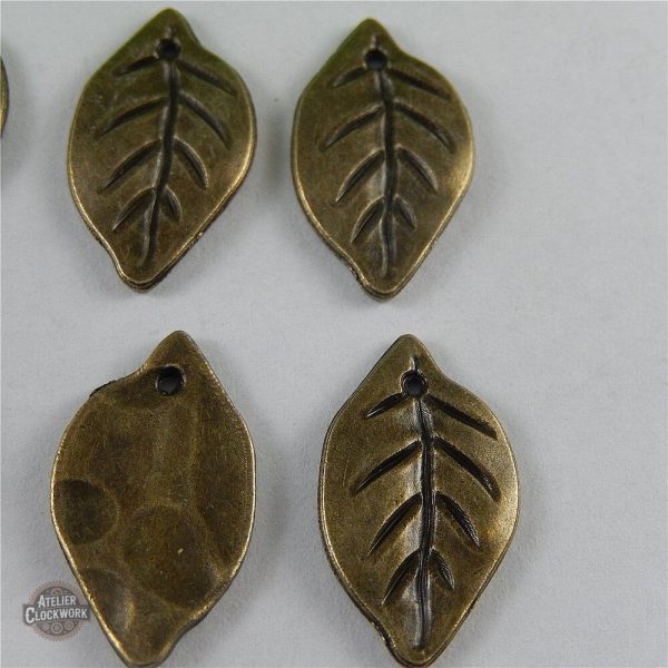 Détails raffinés des accessoires steampunk feuilles