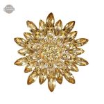 Broche Steampunk Grandiflora