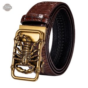 Ceinture Steampunk Scorpion pour homme élégant