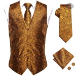 Gilet Original Homme Victorien - vue 8