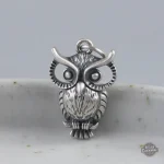 Bijou steampunk élégant avec motif hibou en acier