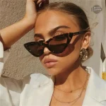 Lunettes Steampunk Femme au design Œil de Chat