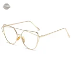 Lunettes à la mode avec allure mystérieuse
