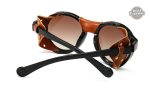Lunettes avec un design rétro et steampunk