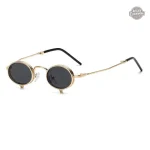 Lunettes Steampunk Dracula Rising