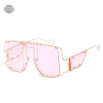 Rainbow 1900 : lunettes pour femmes élégantes